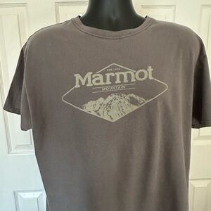 Marmot Men's Brown Graphic Tee